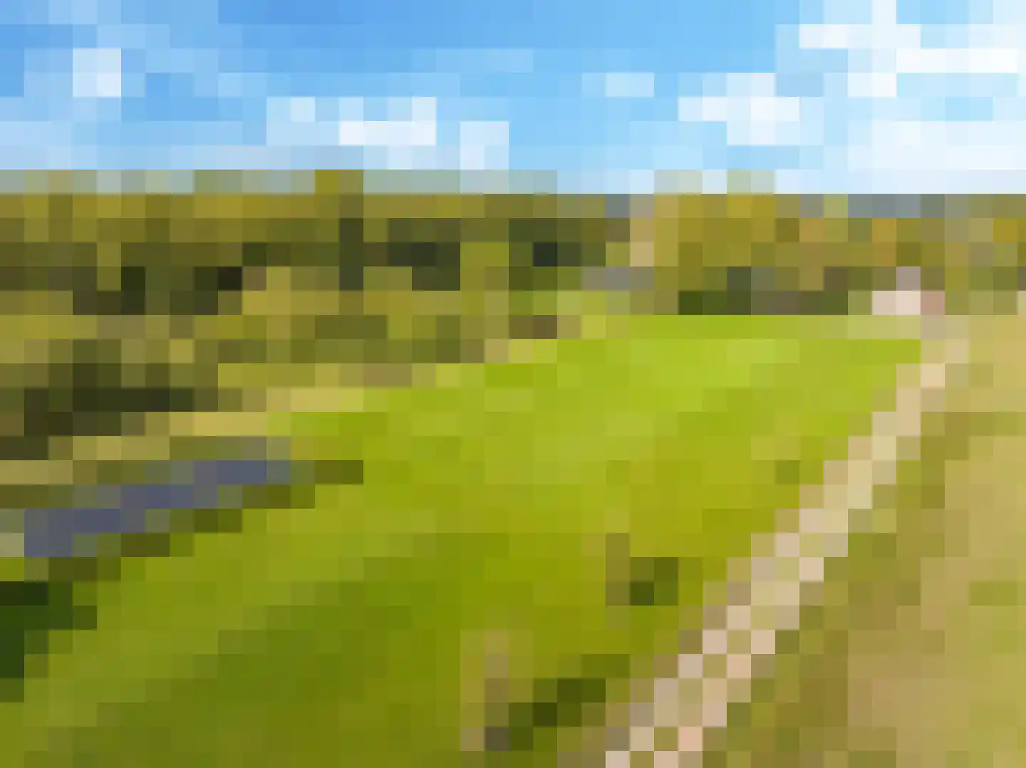Drielse Rijndijk 3 Heteren thumbnail 94