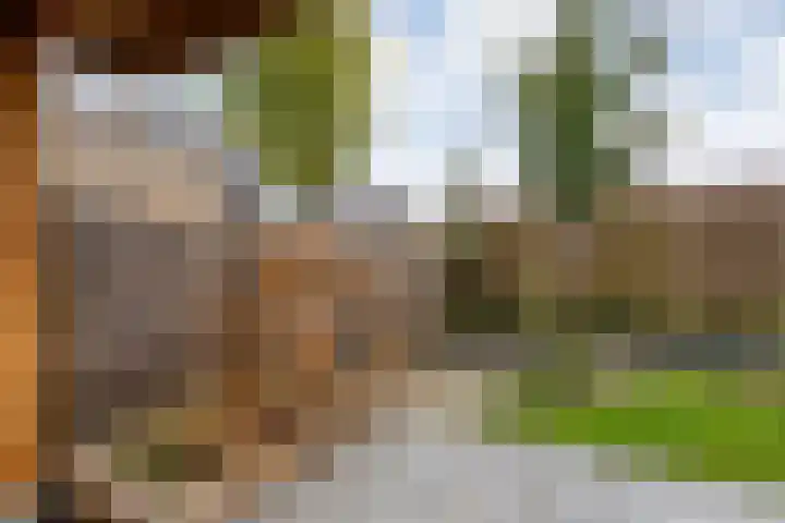 Drielse Rijndijk 3 Heteren thumbnail 95