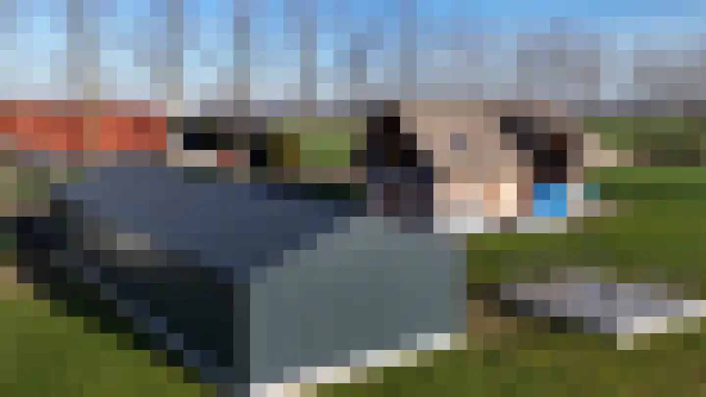 Drielse Veldweg 35 Velddriel thumbnail 11