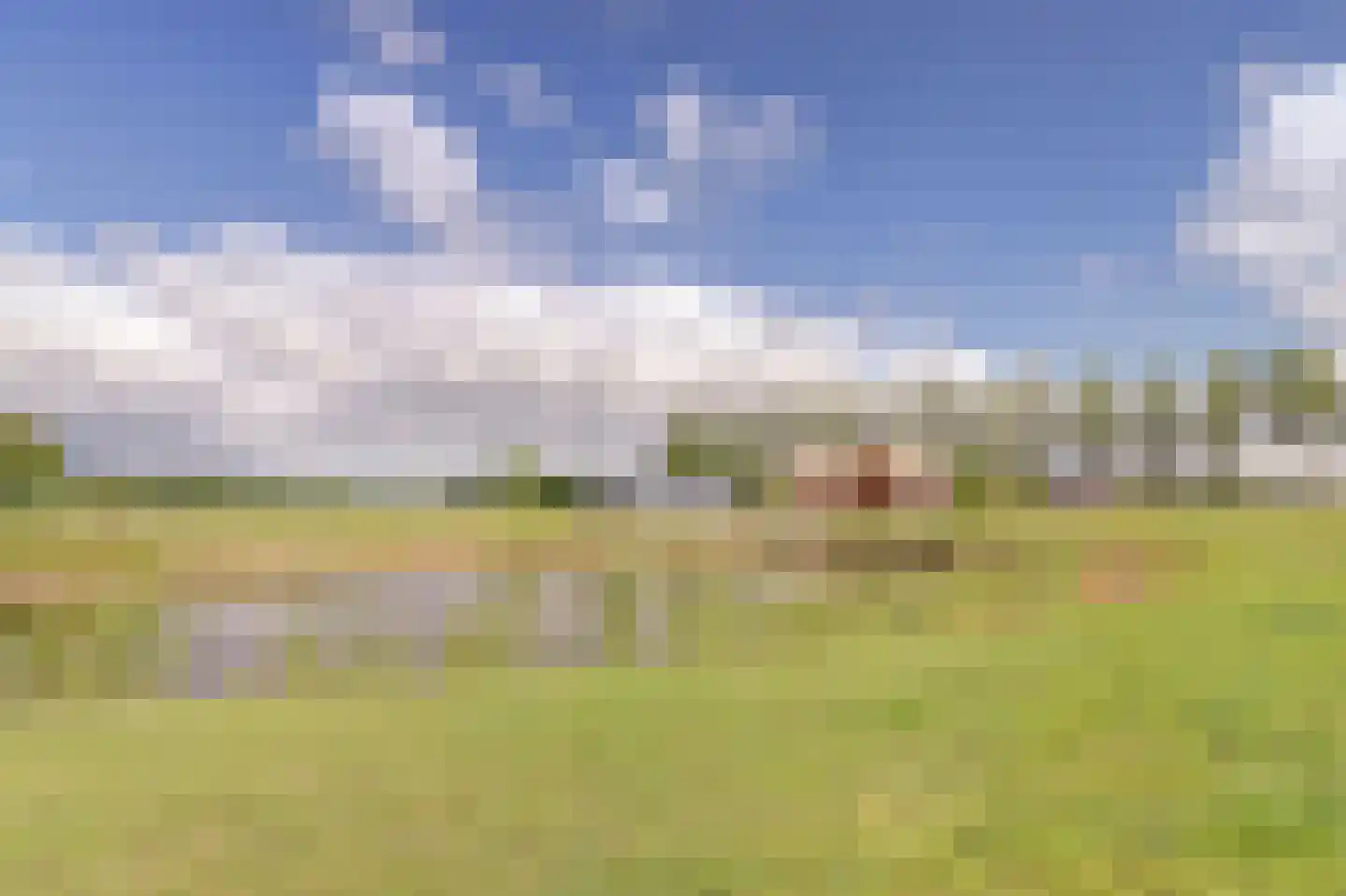 Drielse Veldweg 35 Velddriel thumbnail 14