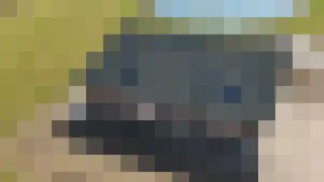 Drielse Veldweg 35 Velddriel thumbnail 22