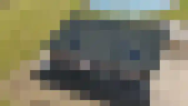 Drielse Veldweg 35 Velddriel thumbnail 22