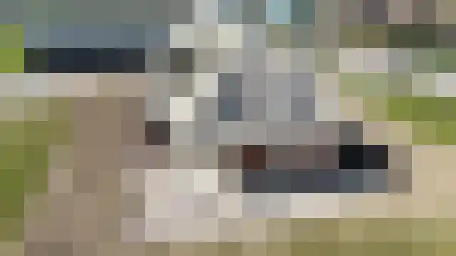 Drielse Veldweg 35 Velddriel thumbnail 23