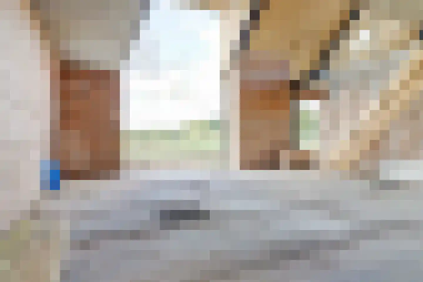 Drielse Veldweg 35 Velddriel thumbnail 27