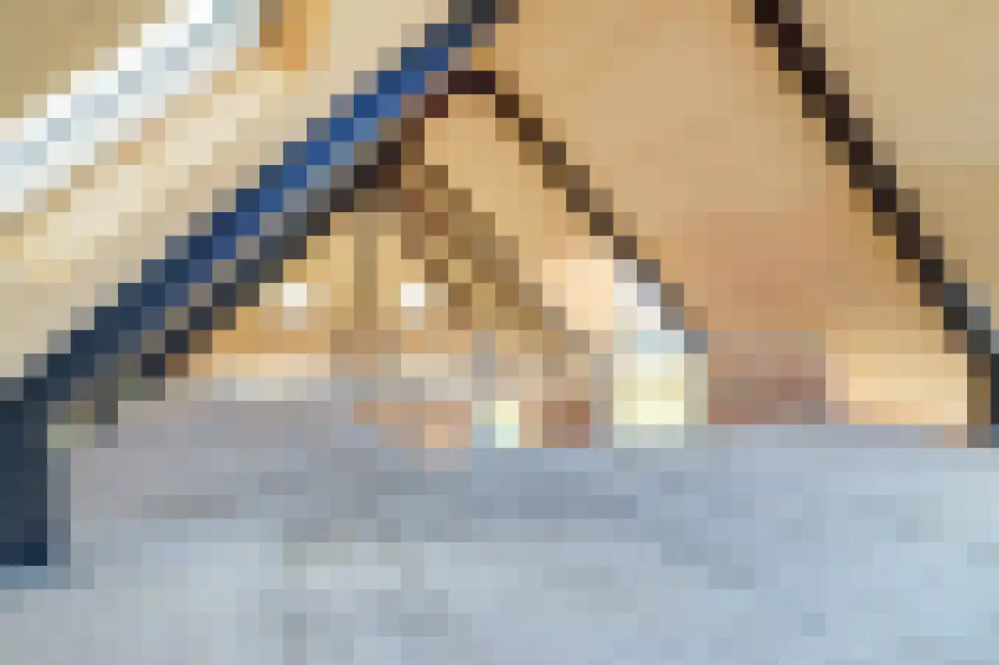 Drielse Veldweg 35 Velddriel thumbnail 33
