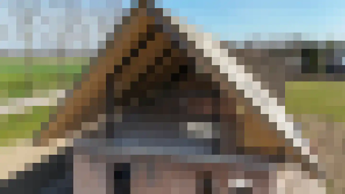 Drielse Veldweg 35 Velddriel thumbnail 39