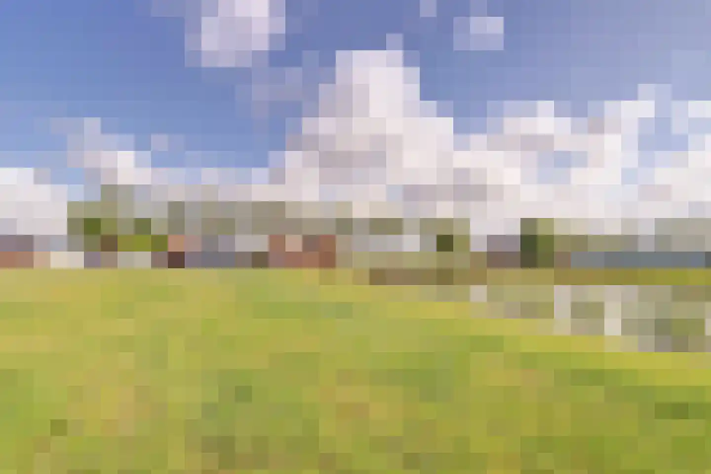Drielse Veldweg 35 Velddriel thumbnail 41