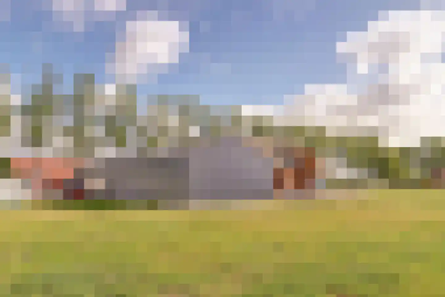 Drielse Veldweg 35 Velddriel thumbnail 42