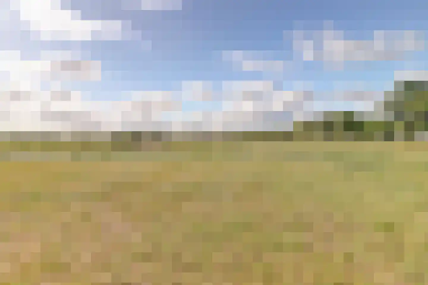 Drielse Veldweg 35 Velddriel thumbnail 43