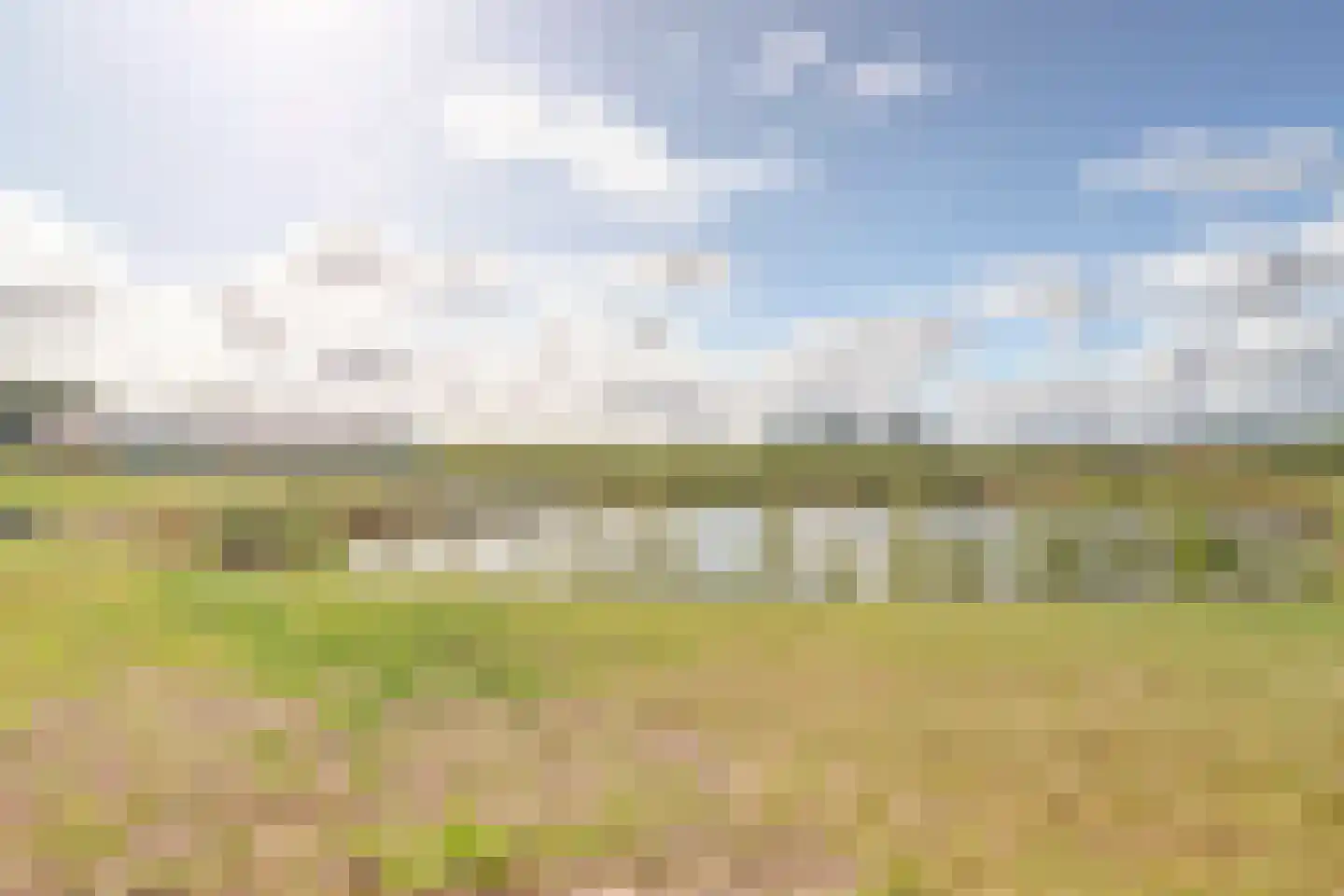 Drielse Veldweg 35 Velddriel thumbnail 44