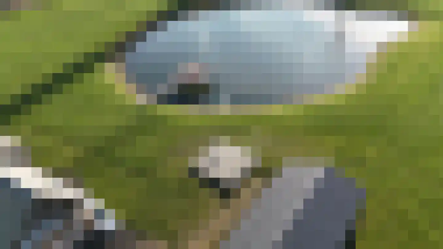 Drielse Veldweg 35 Velddriel thumbnail 5