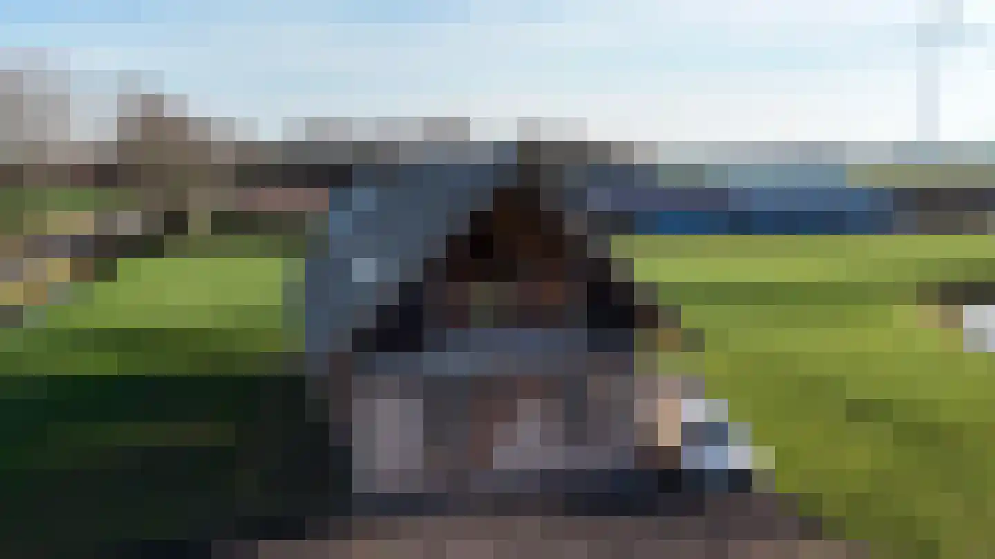 Drielse Veldweg 35 Velddriel thumbnail 7