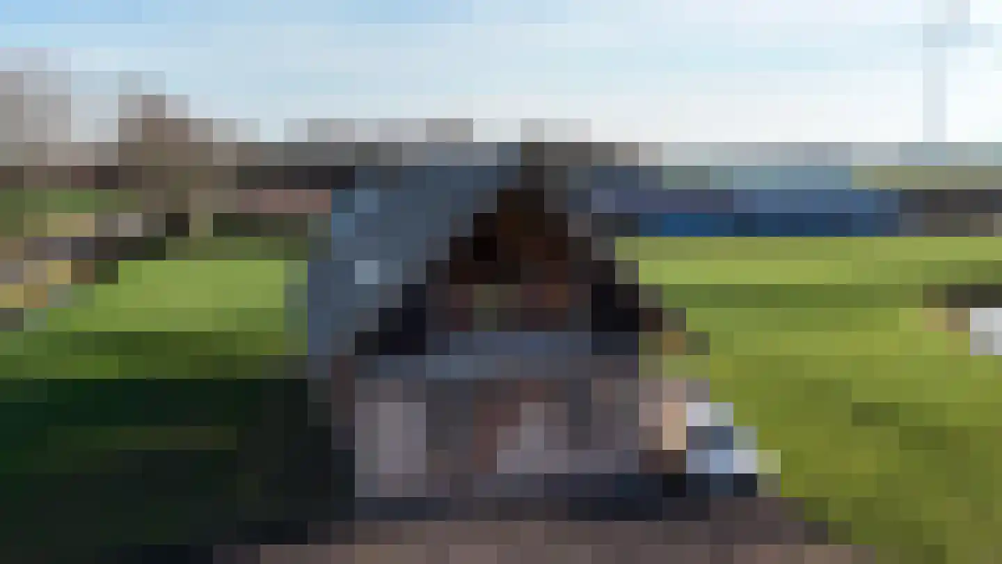 Drielse Veldweg 35 Velddriel thumbnail 7
