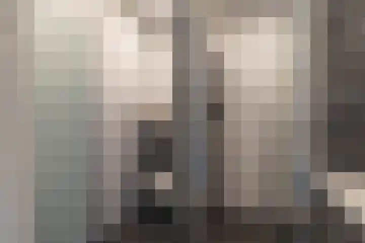 Drielse Wetering 38 Zaandam thumbnail 18