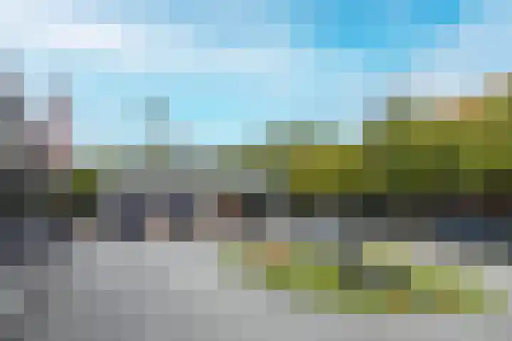 Drielse Wetering 38 Zaandam thumbnail 24
