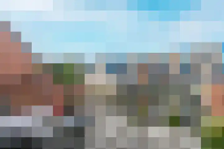 Drielse Wetering 38 Zaandam thumbnail 6