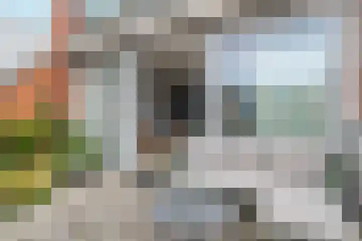 Drielse Wetering 38 Zaandam thumbnail 9
