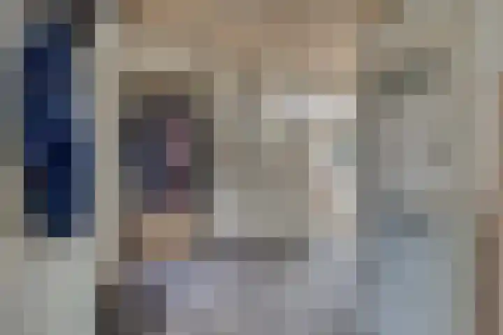 Drielseweg 12 Hedel thumbnail 11