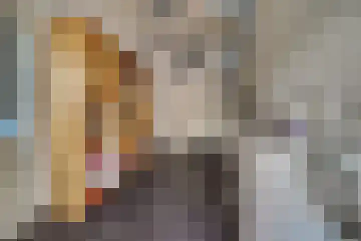 Drielseweg 12 Hedel thumbnail 16