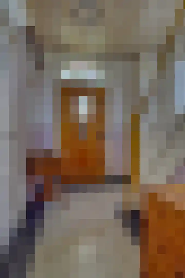 Drielseweg 12 Hedel thumbnail 20