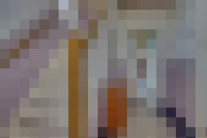 Drielseweg 12 Hedel thumbnail 21