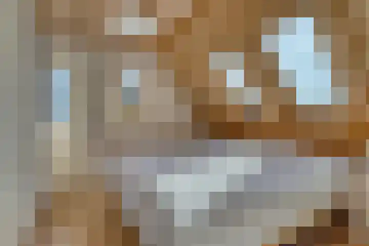 Drielseweg 12 Hedel thumbnail 24