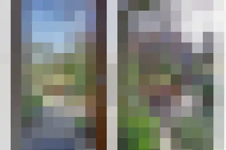 Drielseweg 12 Hedel thumbnail 27