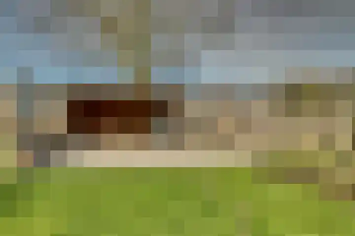 Drielseweg 12 Hedel thumbnail 28