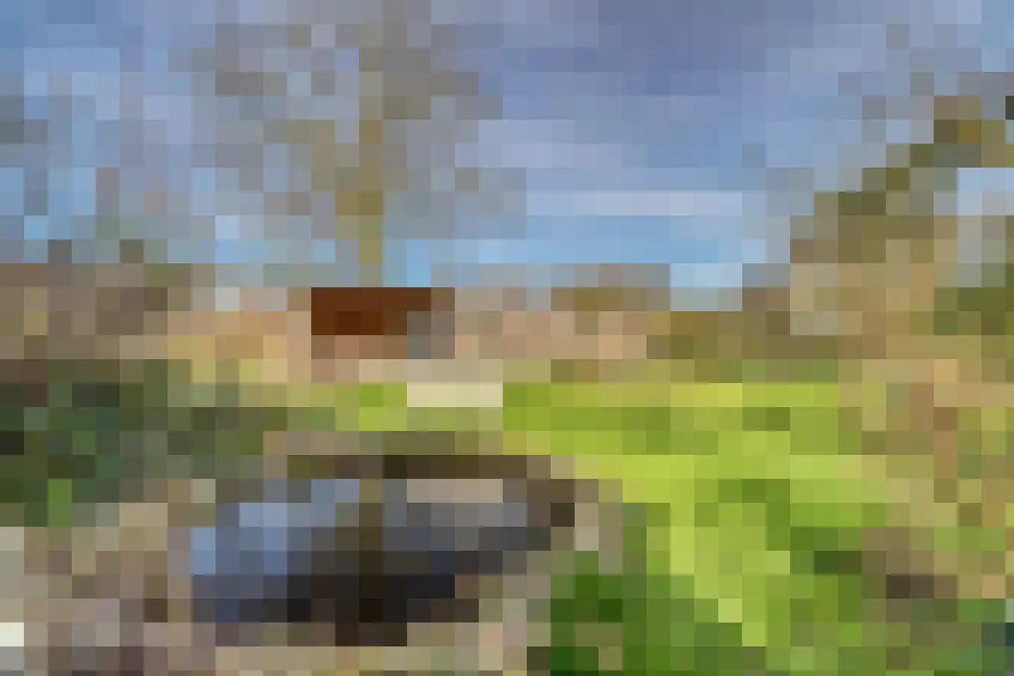 Drielseweg 12 Hedel thumbnail 30