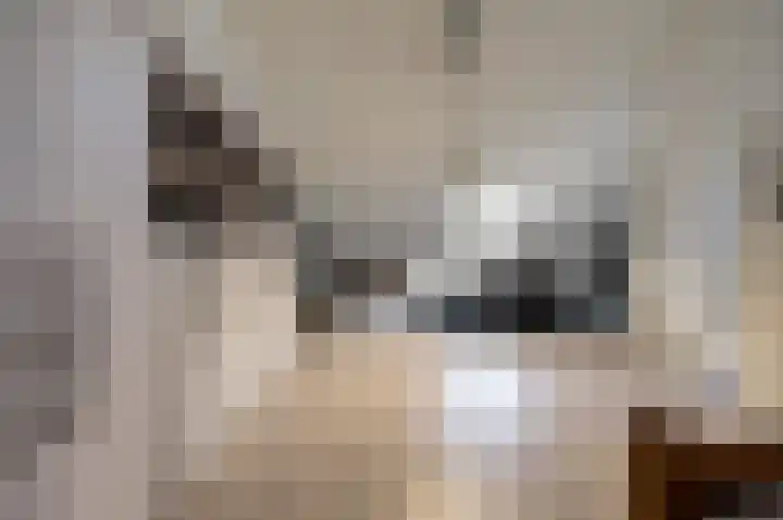 Drielseweg 12 Hedel thumbnail 39