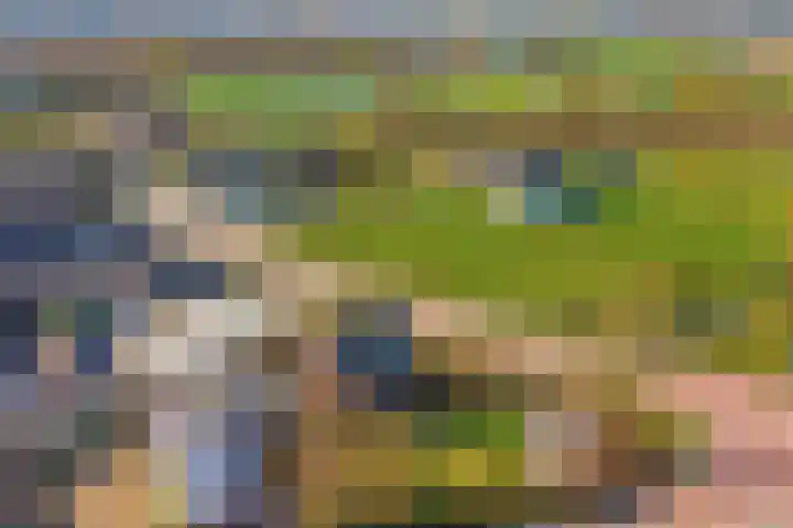 Drielseweg 12 Hedel thumbnail 42