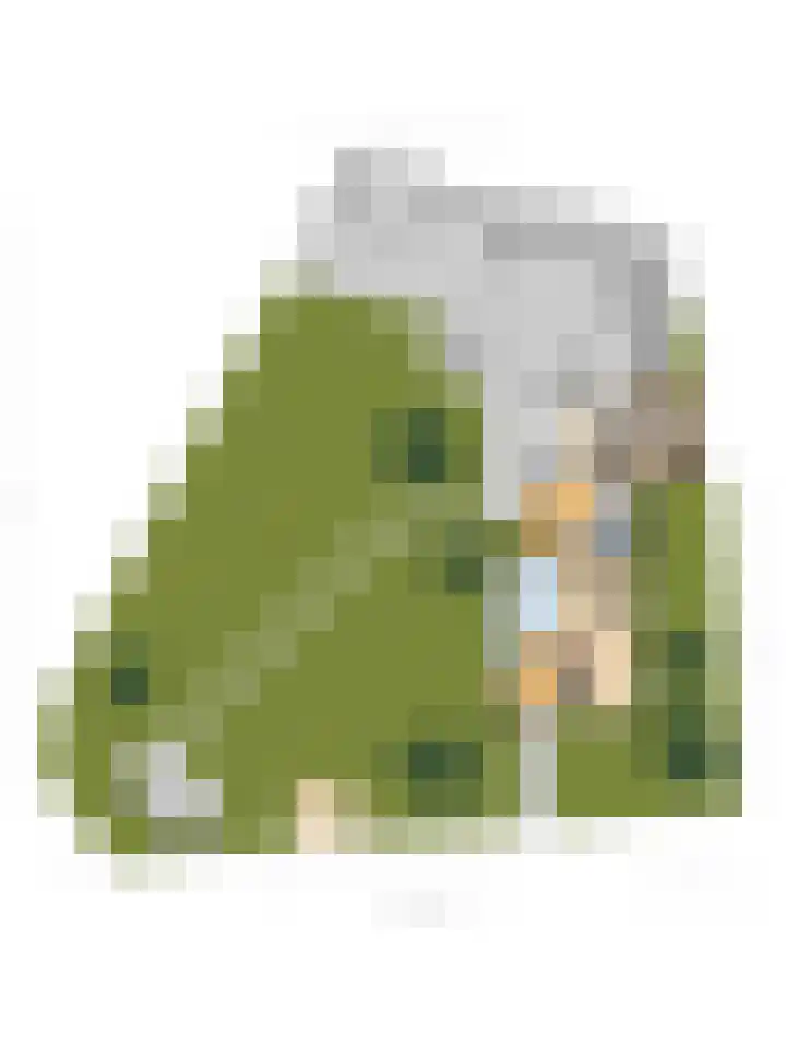 Drielseweg 12 Hedel thumbnail 43