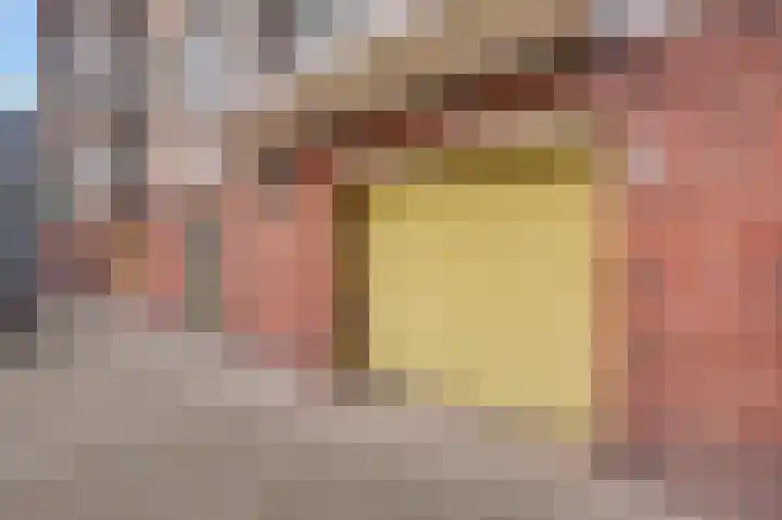 Drielseweg 12 Hedel thumbnail 48