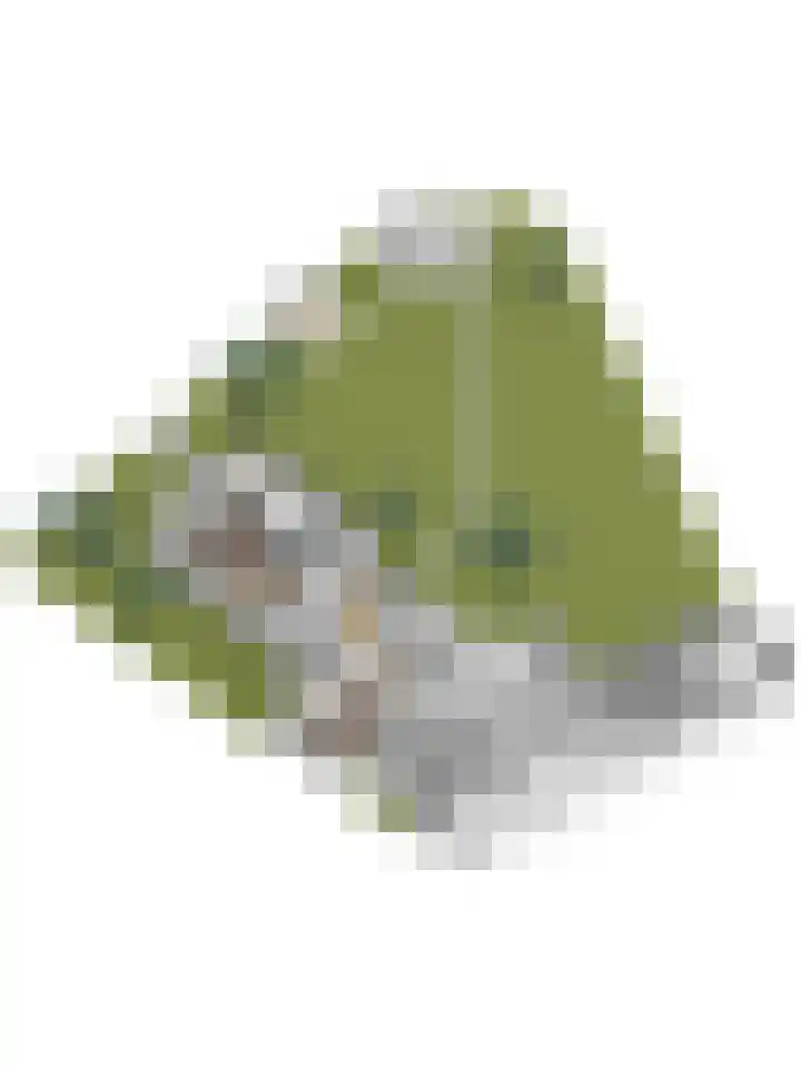 Drielseweg 12 Hedel thumbnail 51