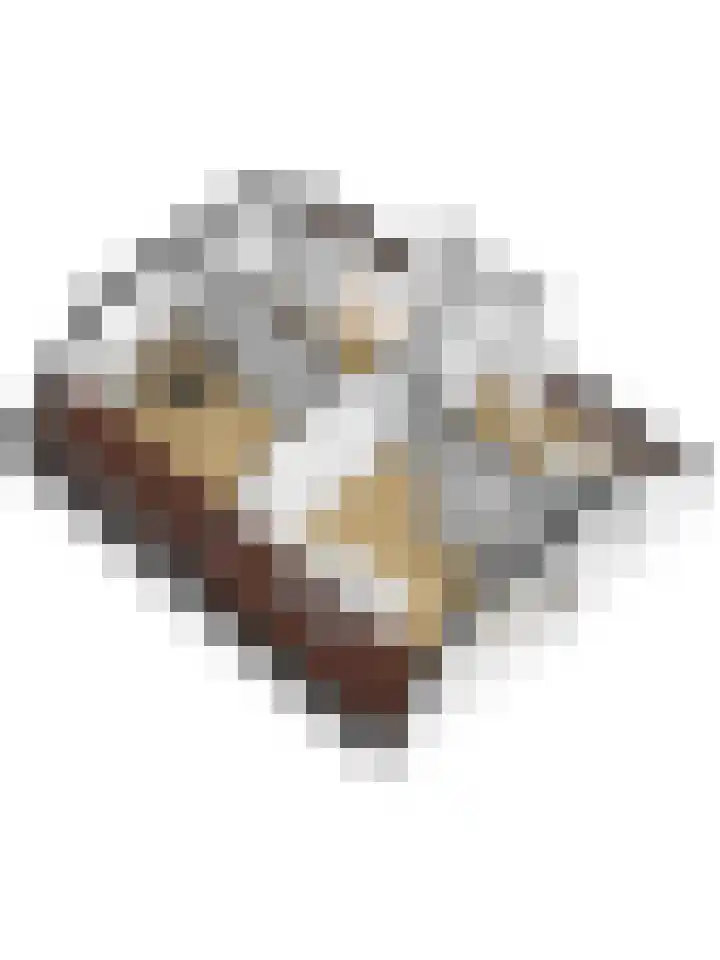 Drielseweg 12 Hedel thumbnail 53