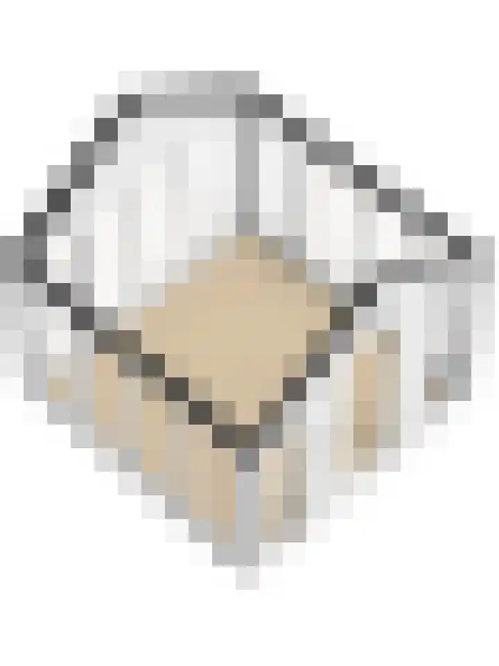 Drielseweg 12 Hedel thumbnail 56