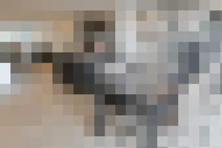 Drielseweg 12 Hedel thumbnail 57