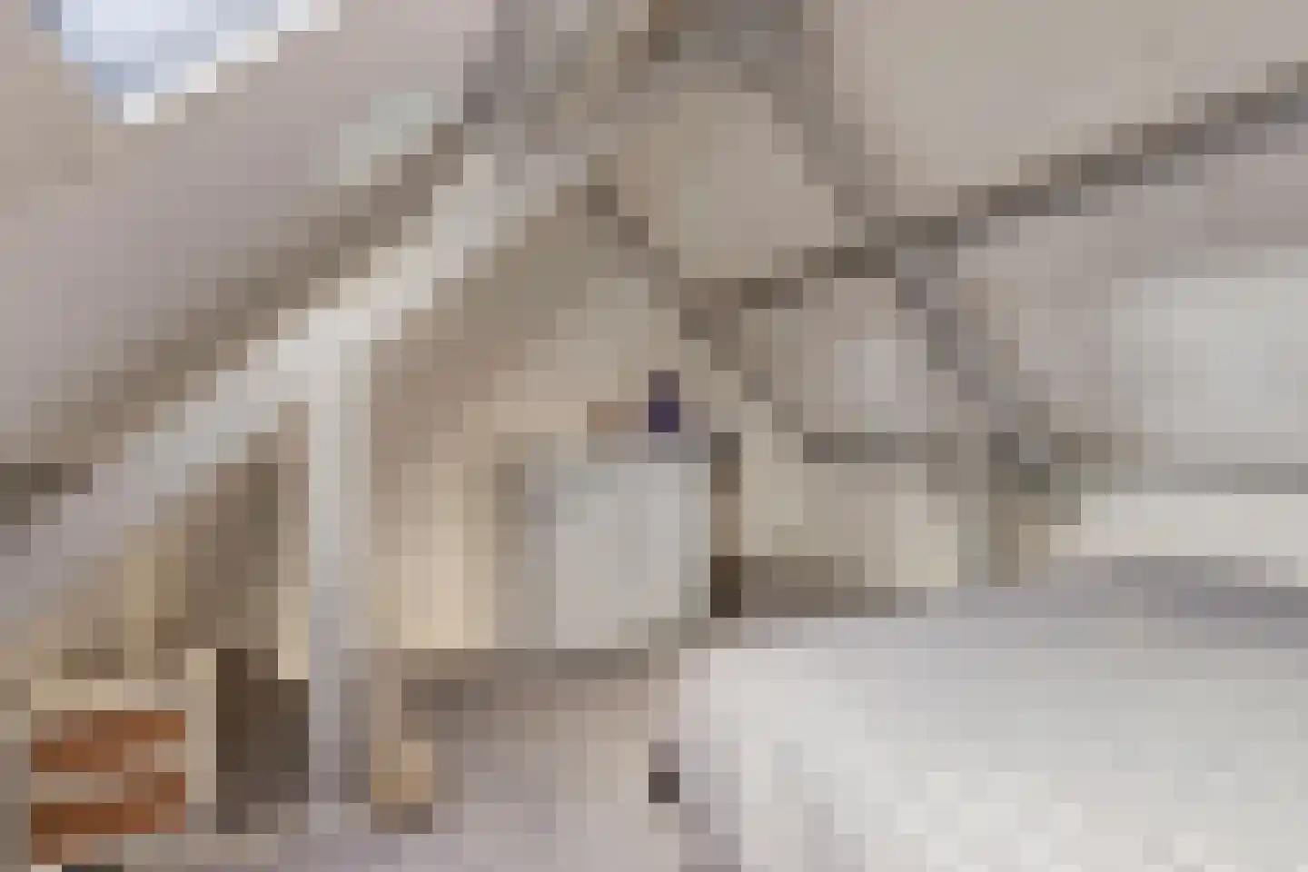 Drielstraat 28 Tilburg thumbnail 23