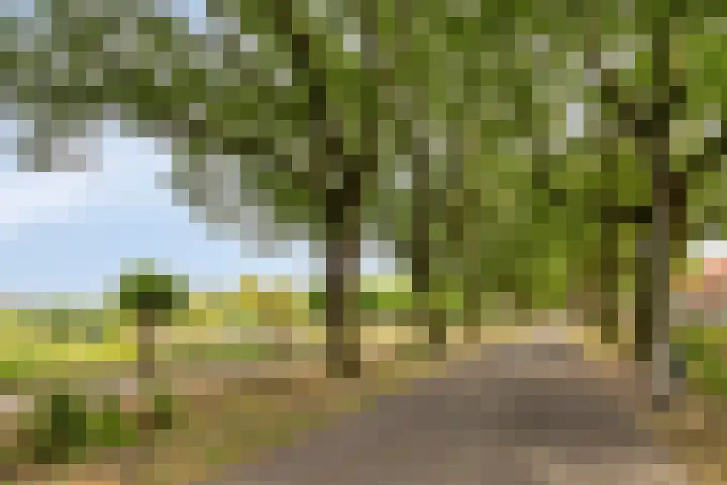 Drielstraat 28 Tilburg thumbnail 31