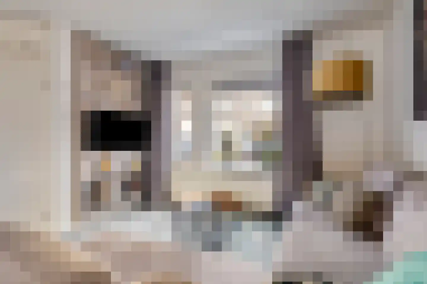Drielstraat 28 Tilburg thumbnail 4