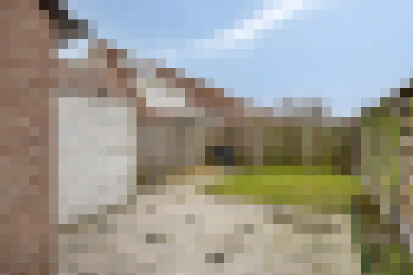 Drielstraat 38 Tilburg thumbnail 25