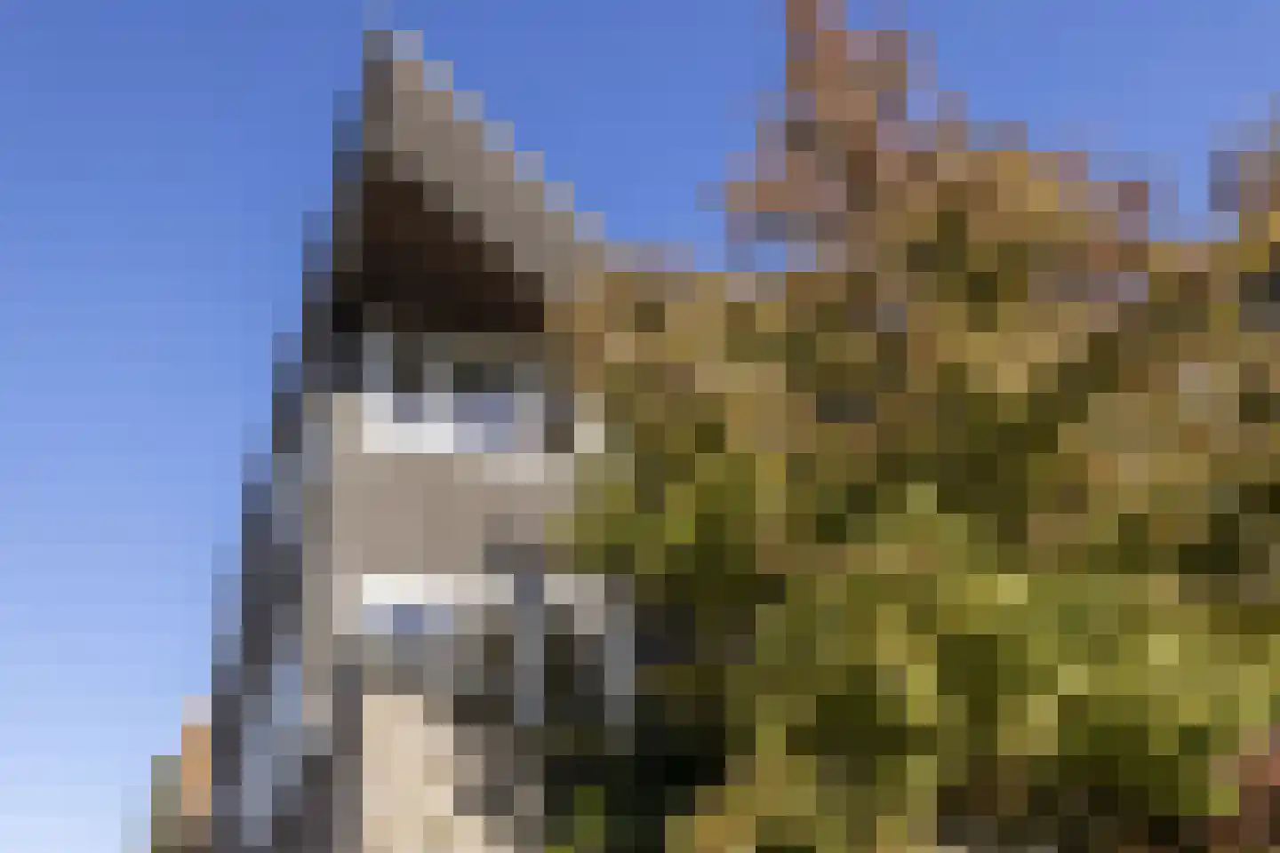 Driemanschapskade 10 Leiden thumbnail 14