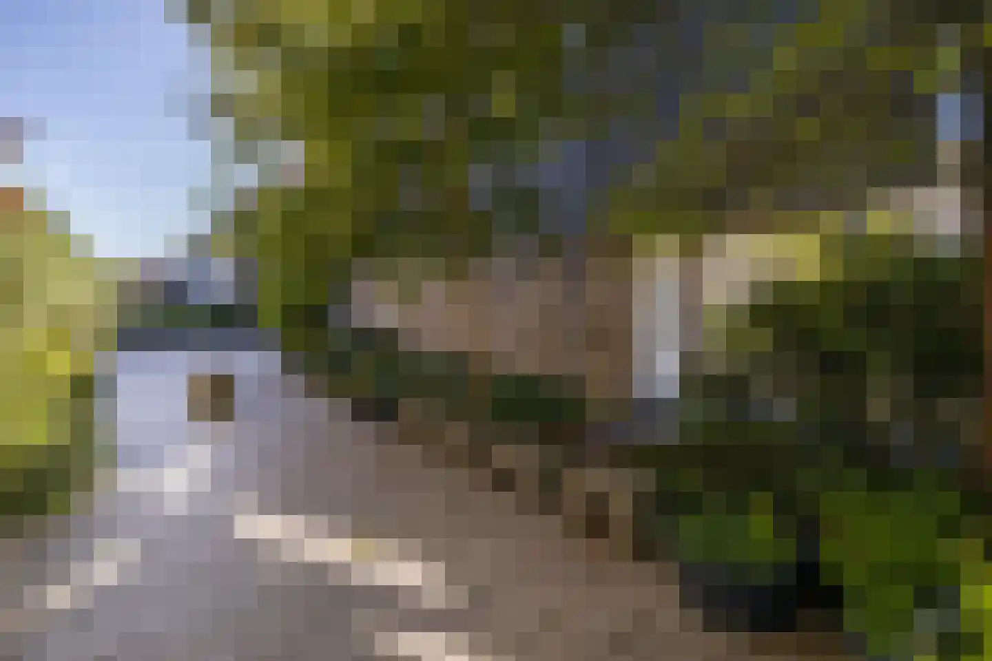 Driemanschapskade 10 Leiden thumbnail 16