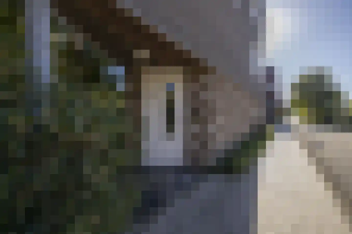Driemanschapskade 10 Leiden thumbnail 17