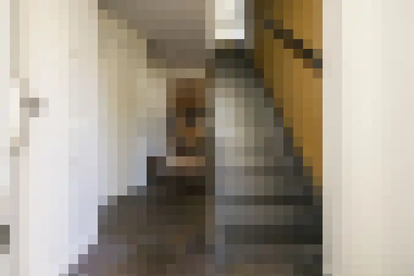 Driemanschapskade 10 Leiden thumbnail 18