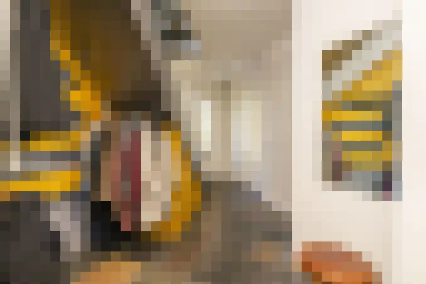 Driemanschapskade 10 Leiden thumbnail 19