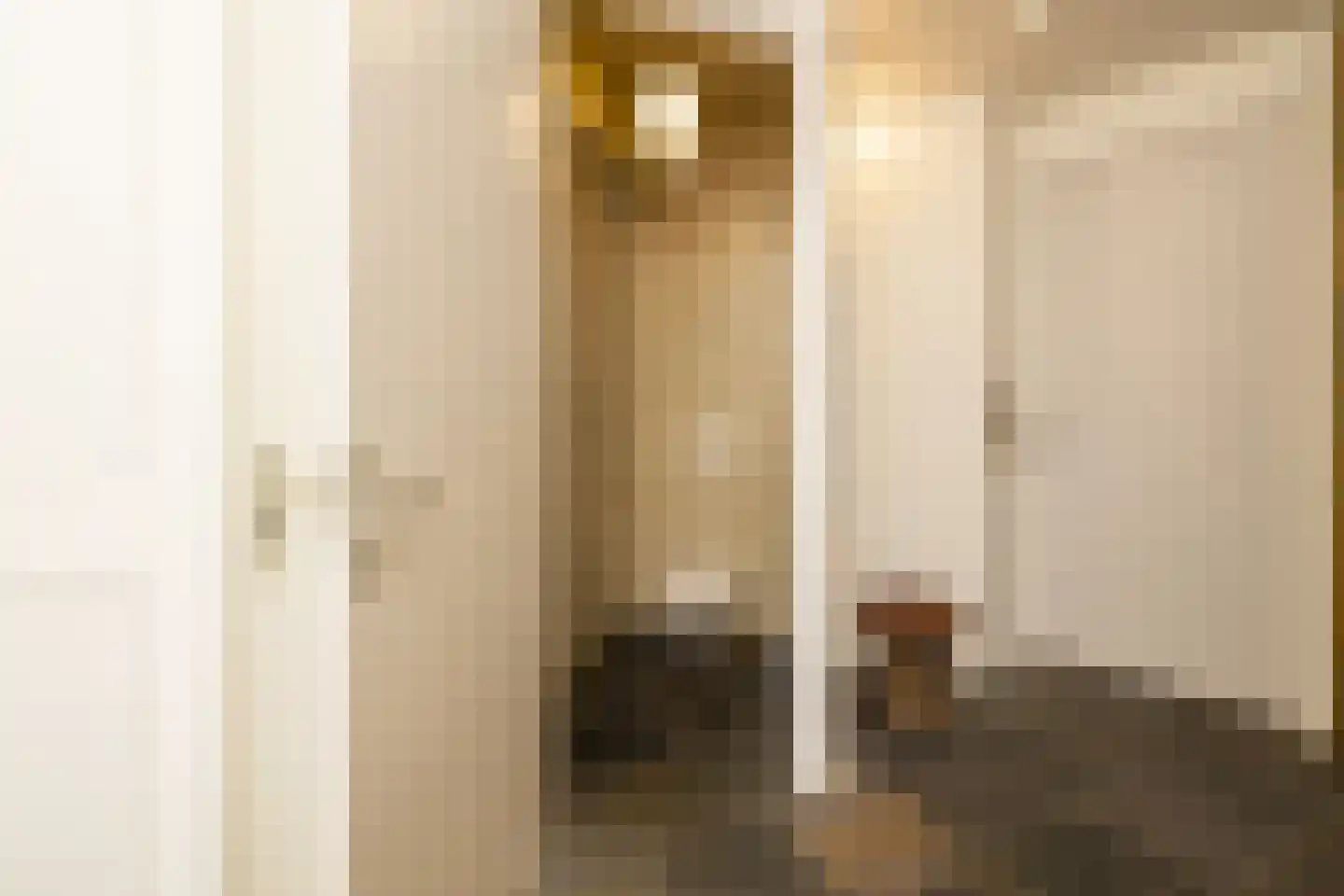 Driemanschapskade 10 Leiden thumbnail 20