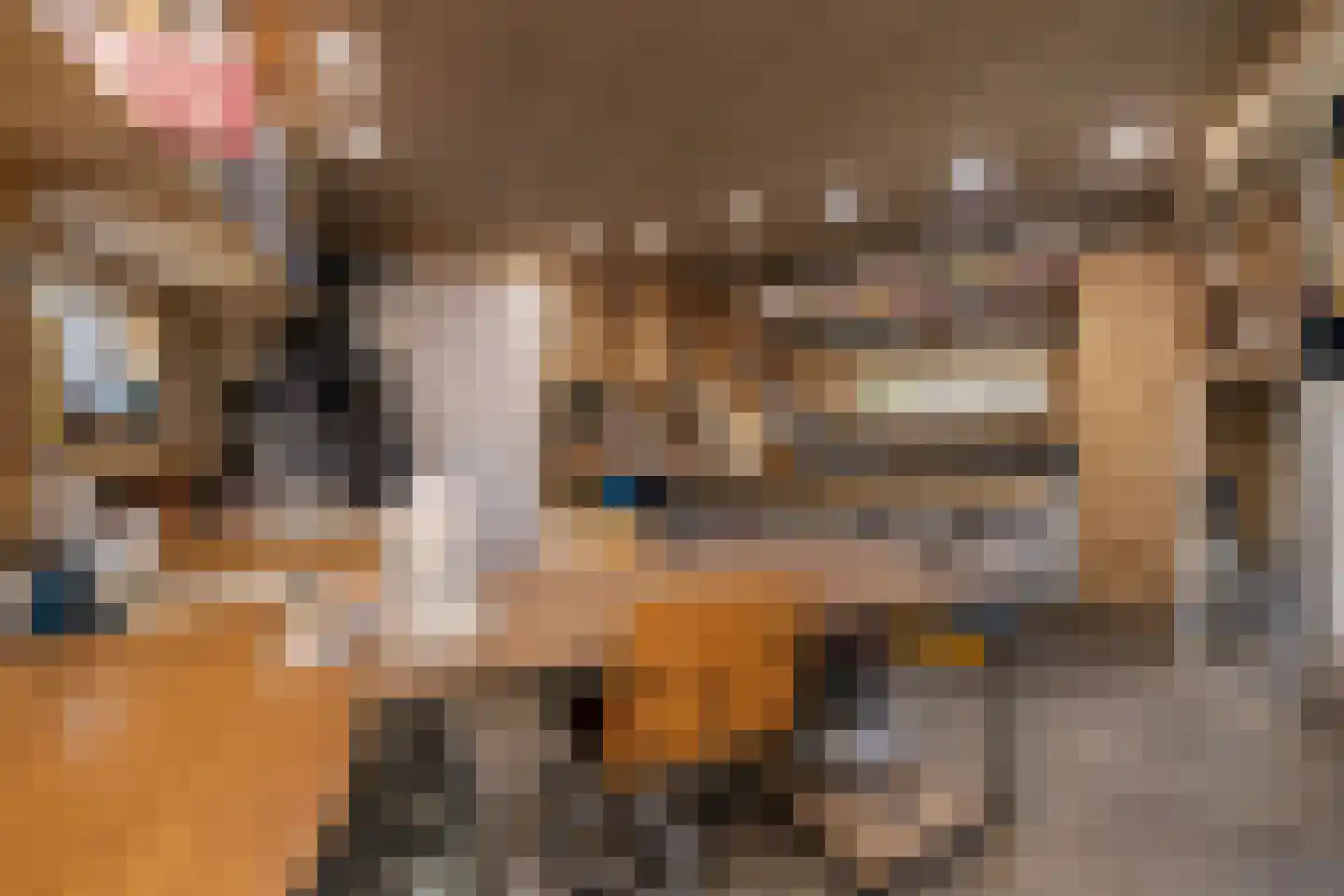 Driemanschapskade 10 Leiden thumbnail 23