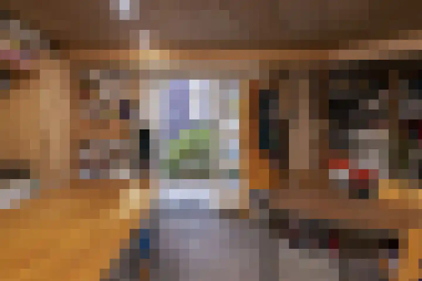 Driemanschapskade 10 Leiden thumbnail 26