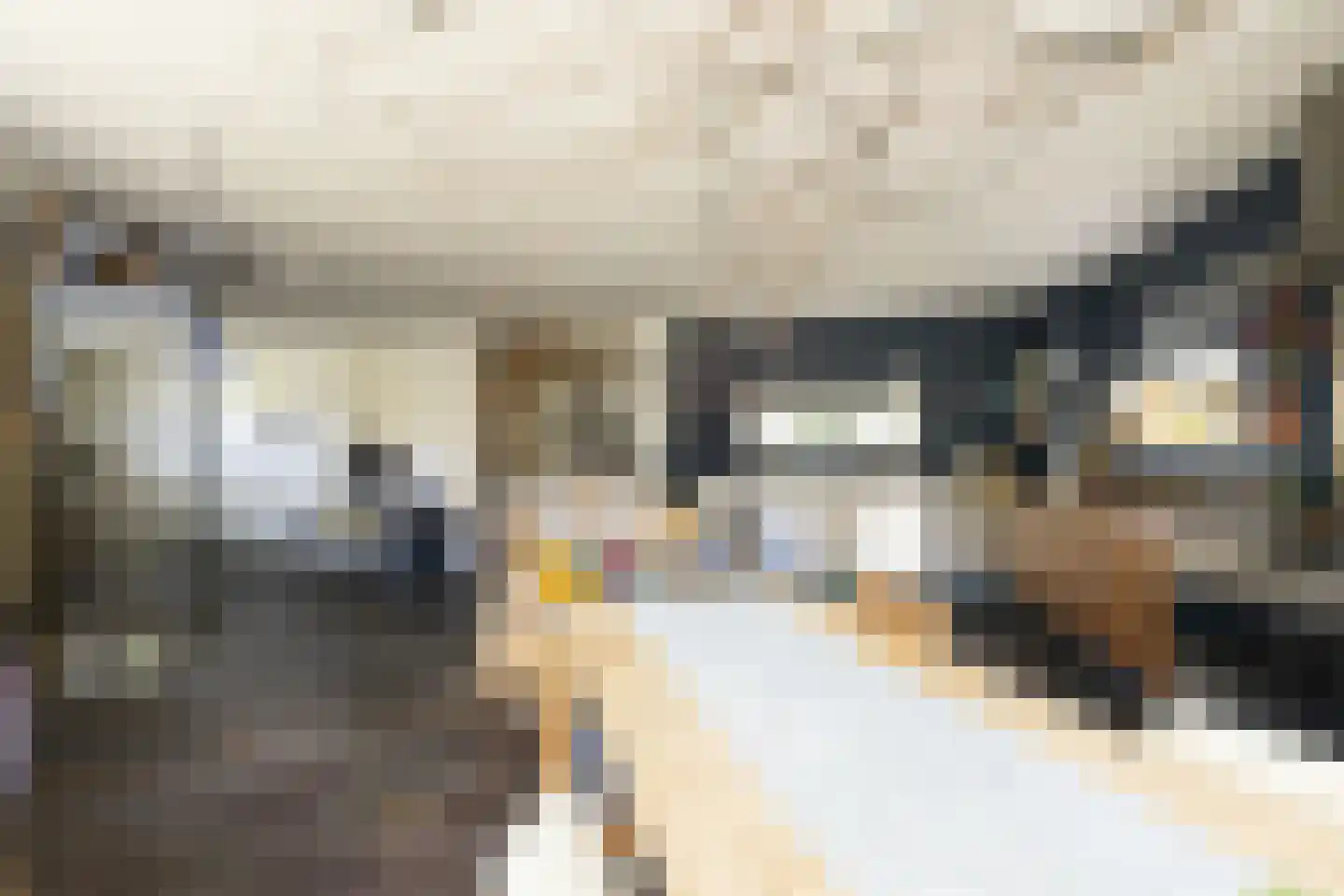 Driemanschapskade 10 Leiden thumbnail 28